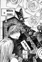 chap91c